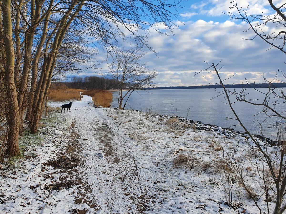 Fewo Tina Любек Экстерьер фото